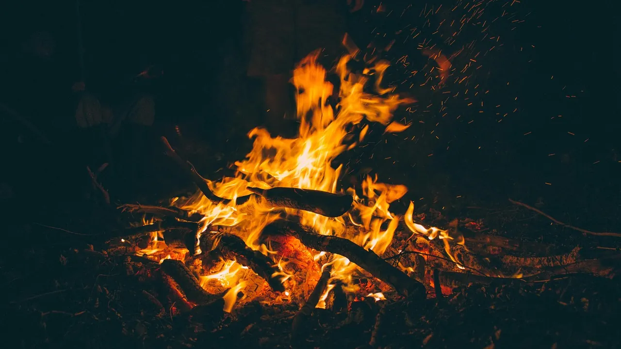 Feu de camp dans un sous-bois, à la nuit tombée